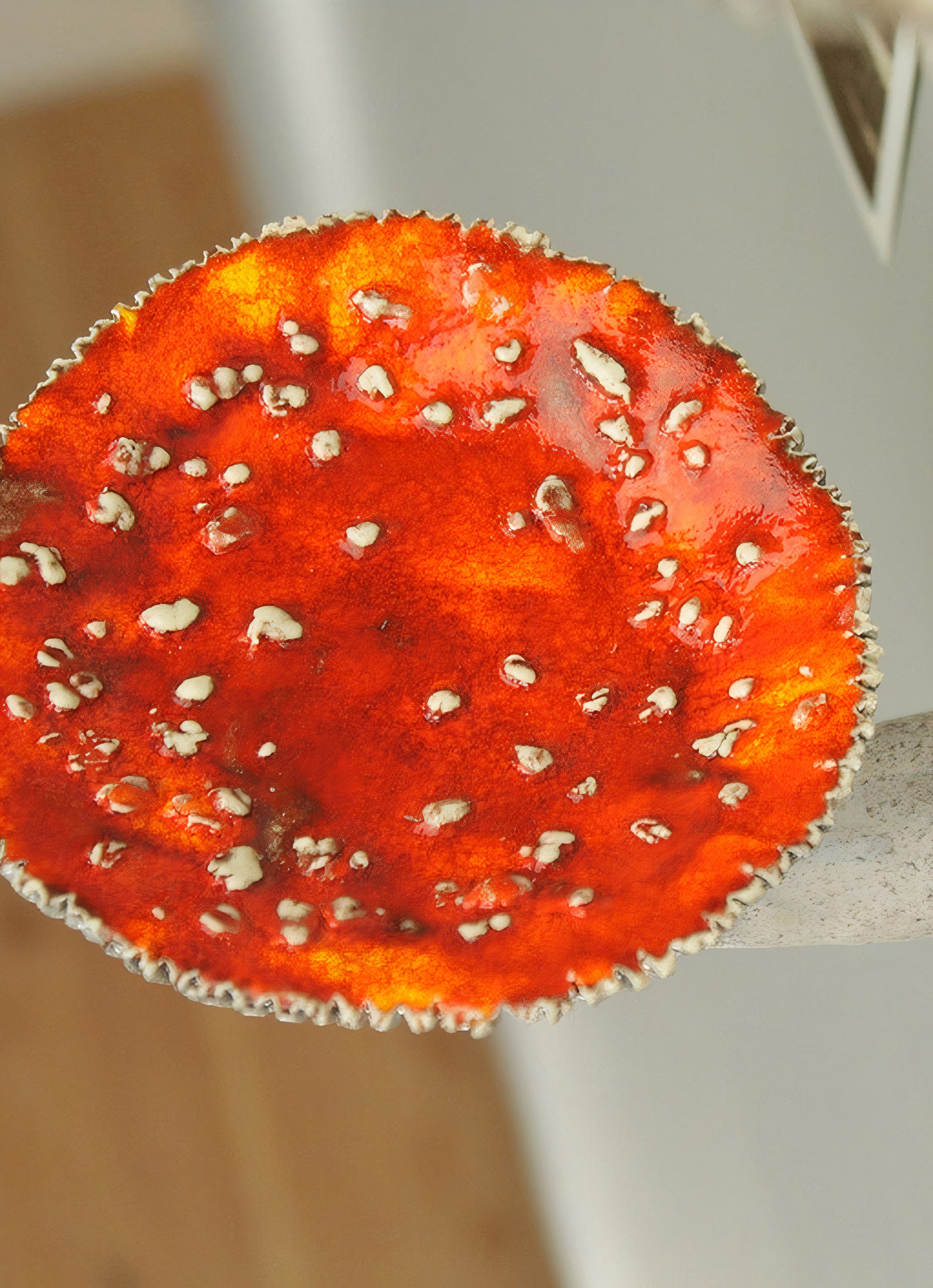 Cogumelo Flutuante Amanita