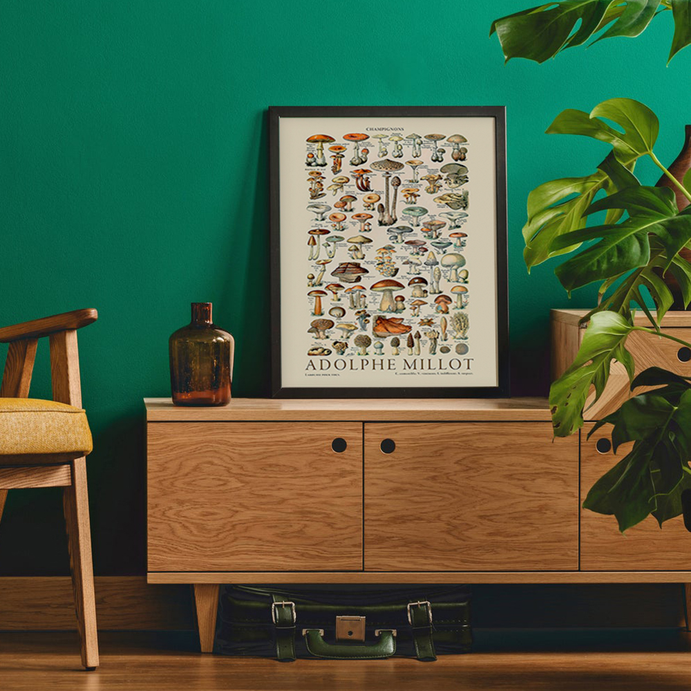 MyPuzzle Tortues (Chelonia) - Formes d'art dans La Nature, Vintage Art Poster, Ernst Haeckel - Premium 1000 Pièces Puzzle - Collection spéciale MyPuzzle de Havana Puzzle Company MyPuzzle Tortues (Chelonia) - Formes d'art dans La Nature, Vintage Art Poster, Ernst Haeckel - Premium 1000 Pièces Puzzle - Collection spéciale MyPuzzle de Havana Puzzle Company
